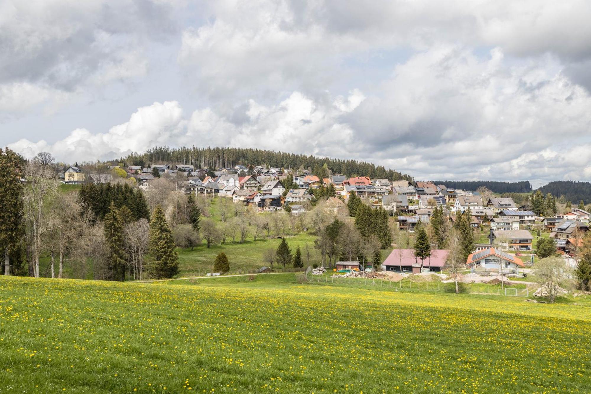 Behagliche Wohnung Hüfingen Dış mekan fotoğraf